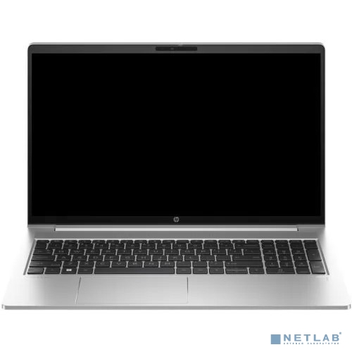 HP ProBook 450 G10 Natural Silver 15.6"