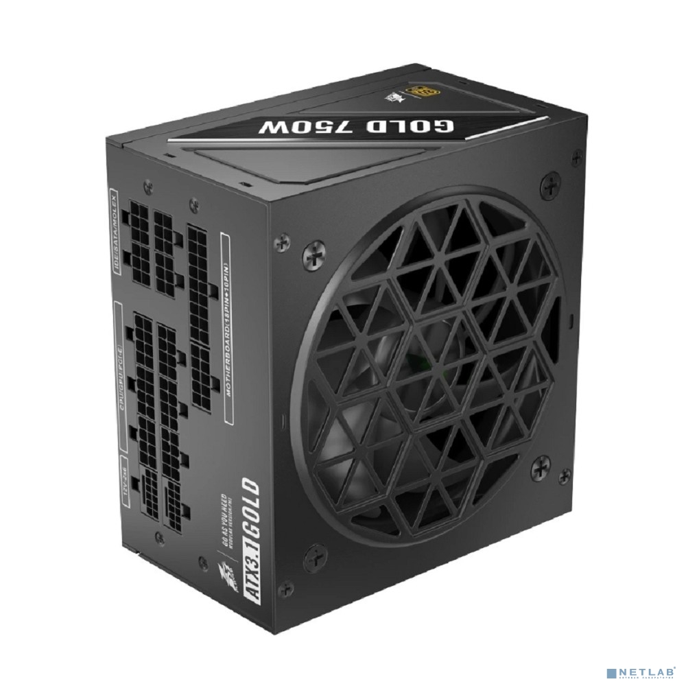 1STPLAYER NGDP Gold 750W / ATX 3.1, APFC, 80 PLUS Gold, LLC+DC-DC, 120mm fan, full modular / HA-750BA4
