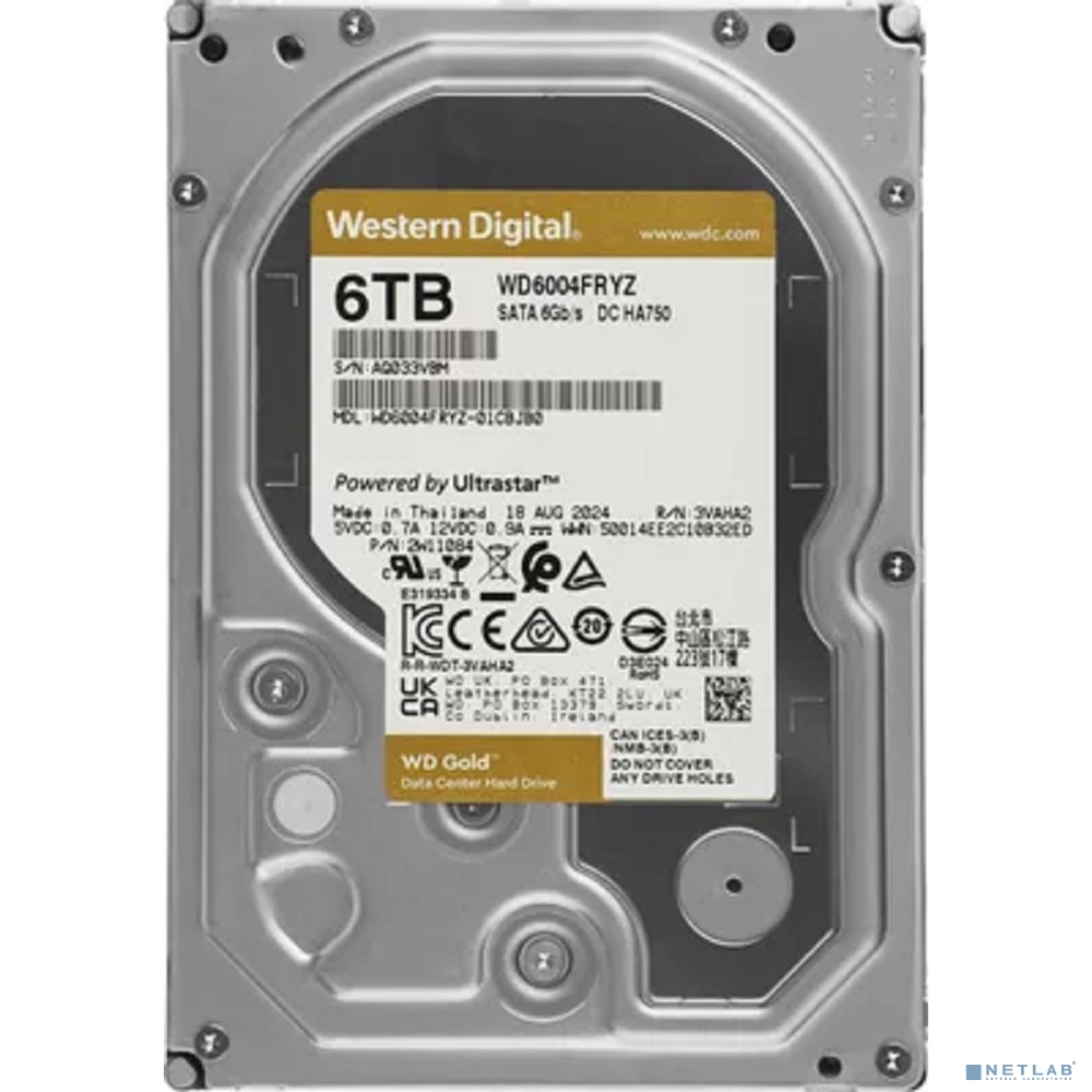 6TB WD Gold (WD6004FRYZ)