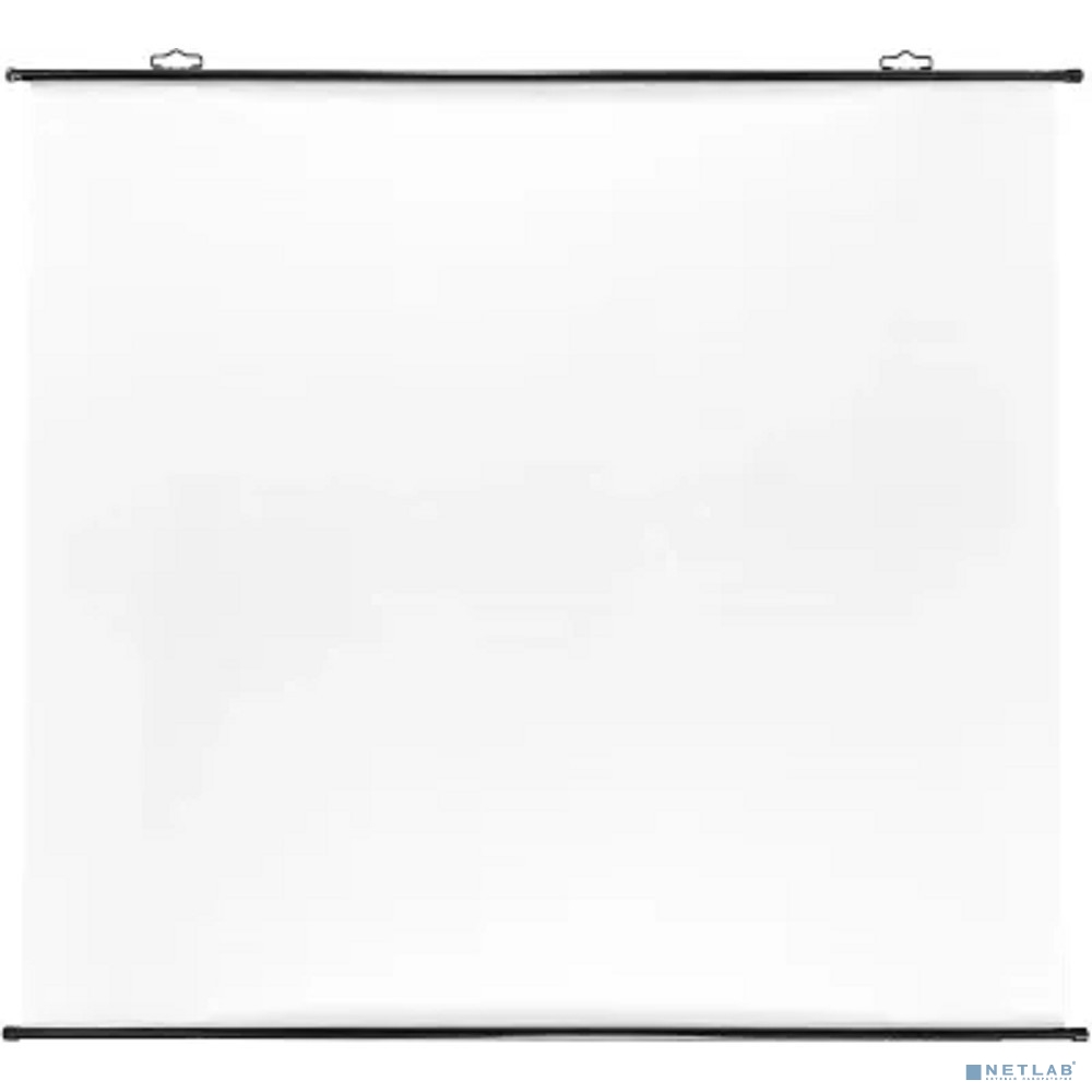 Экран Cactus 150x150см Map type CS-PSRM-150x150-BK 1:1 настенно-потолочный рулонный черный