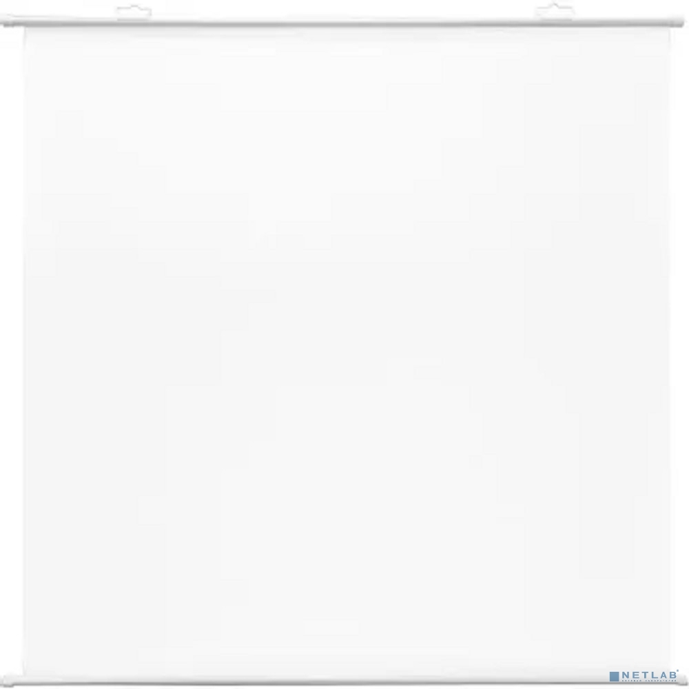 Экран Cactus 180x180см Map type CS-PSRM-180x180-WT 1:1 настенно-потолочный рулонный белый