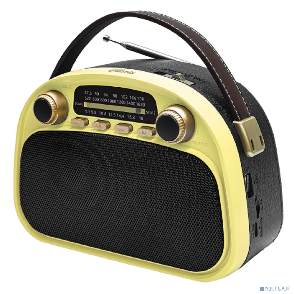 RITMIX RPR-040 LEMON