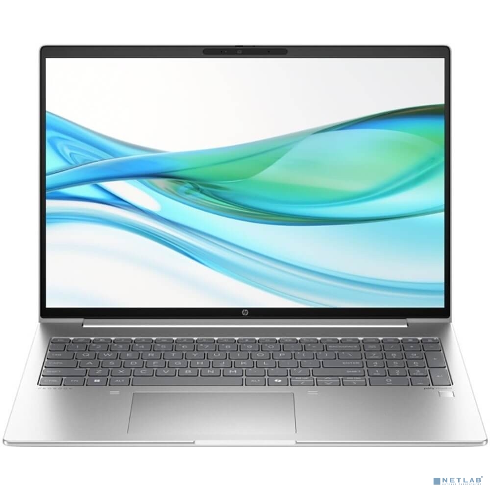 HP ProBook 460 G11 Silver 16"