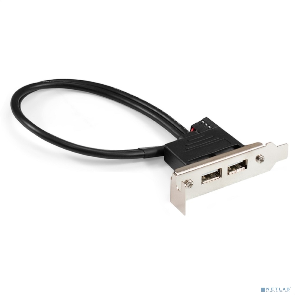 Exegate EX298293RUS Планка портов в корпус 2xUSB2.0 ExeGate BrctUSB2-2A-LP (USB 2.0 9pin (IDC 9pin F) --> 2x USB 2.0 Af, кабель 20см, Low Profile)