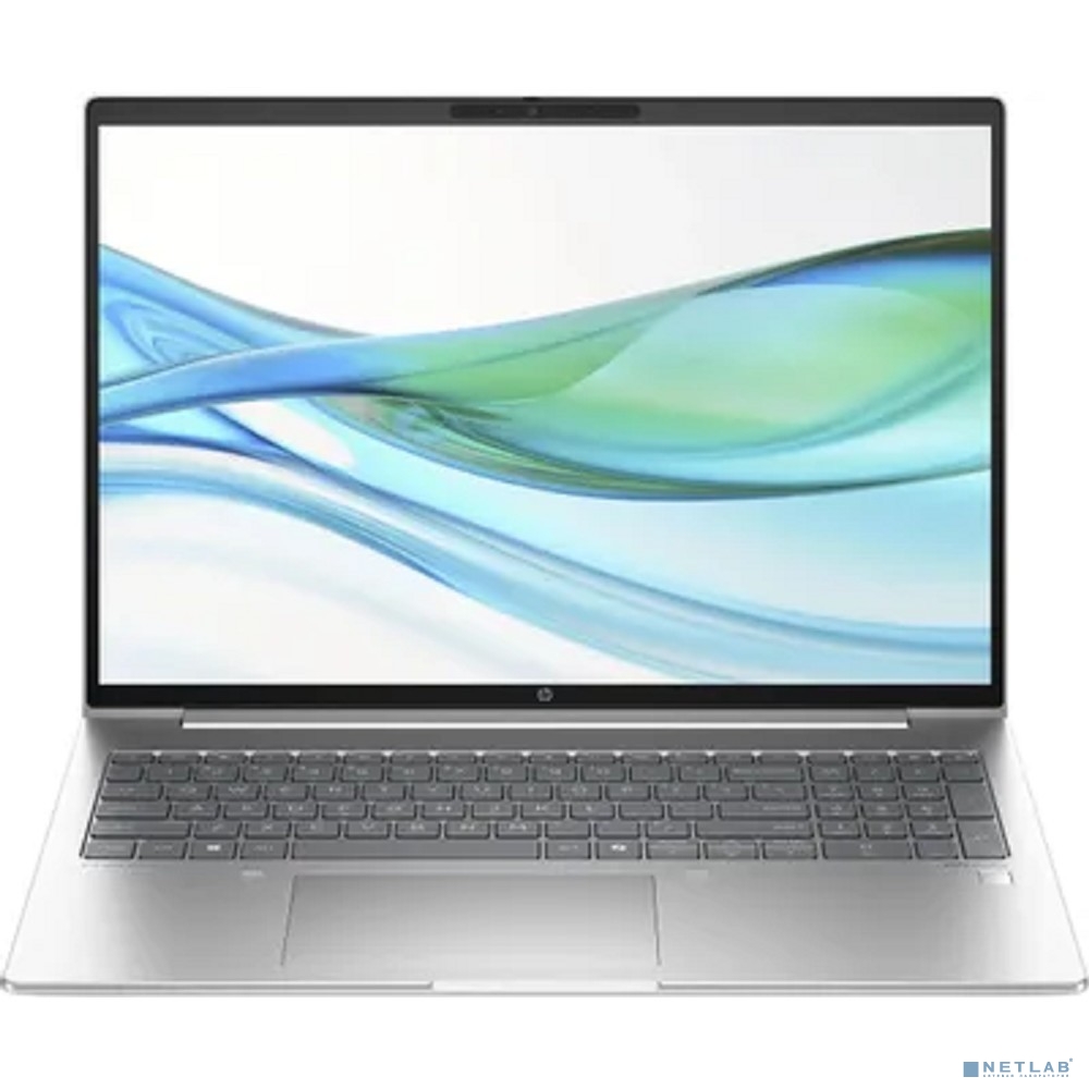 HP ProBook 460 G11 Silver 16"