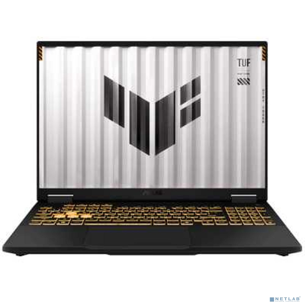 ASUS TUF F16 FX608JP-RV019 Grey 16"