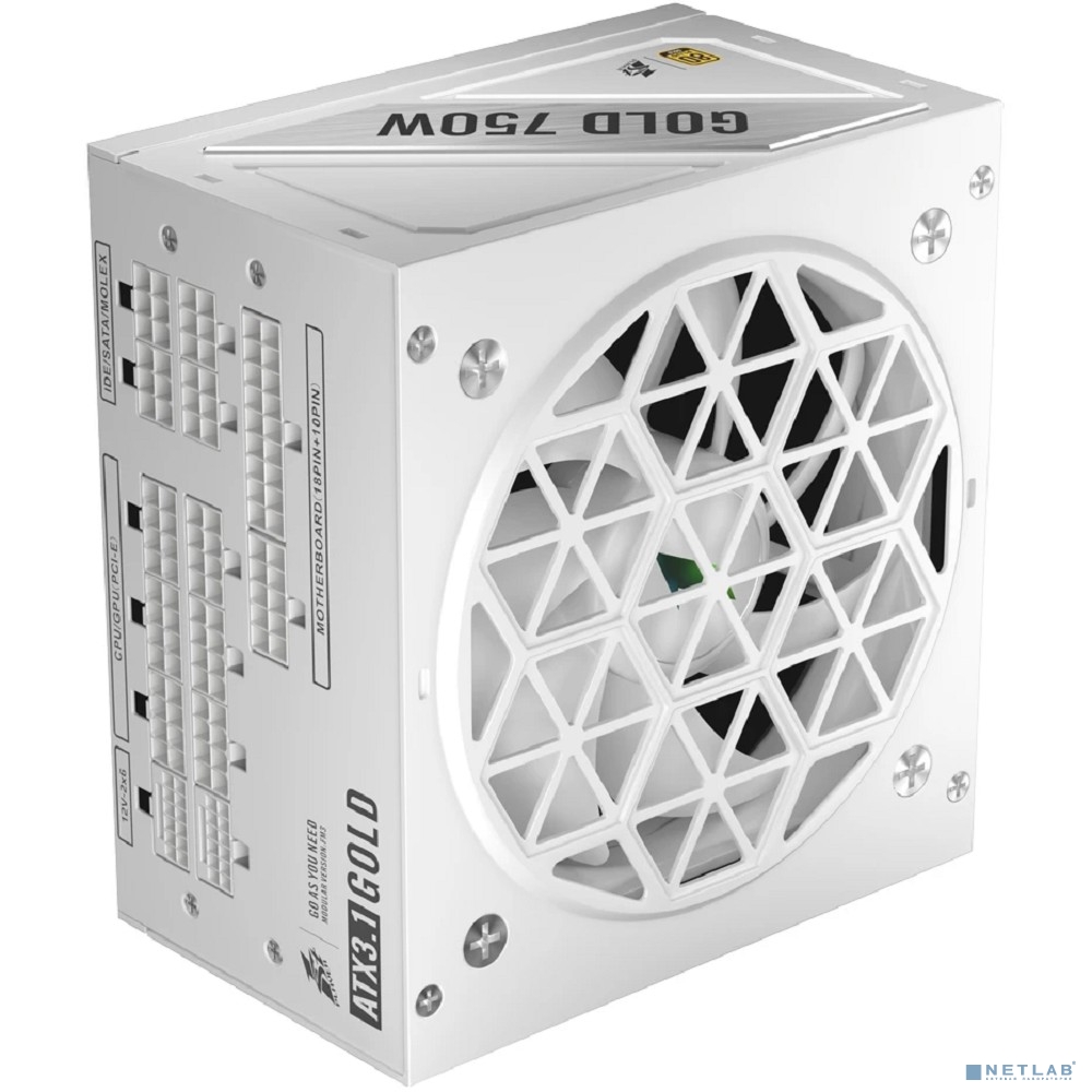 1STPLAYER NGDP GOLD 750W White / ATX 3.1, APFC, 80 PLUS Gold, LLC+DC-DC, full Japan solid-state caps, 120mm fan, full modular / HA-750BA4-WH