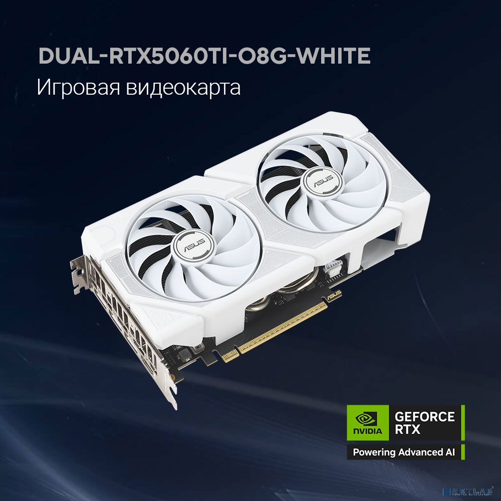 Видеокарта ASUS GeForce RTX5060TI 8Gb DDR7 128 bit 3*DP/HDMI 2 FAN (DUAL-RTX5060TI-O8G-WHITE) RTL