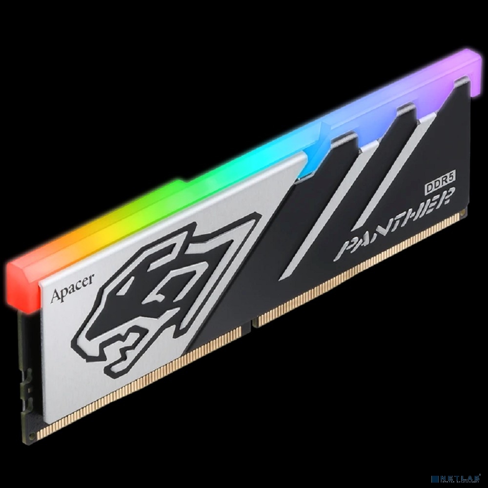 Apacer 16GB DDR5 DIMM PC5-48000 (AH5U16G60C6229BAA-1) RGB