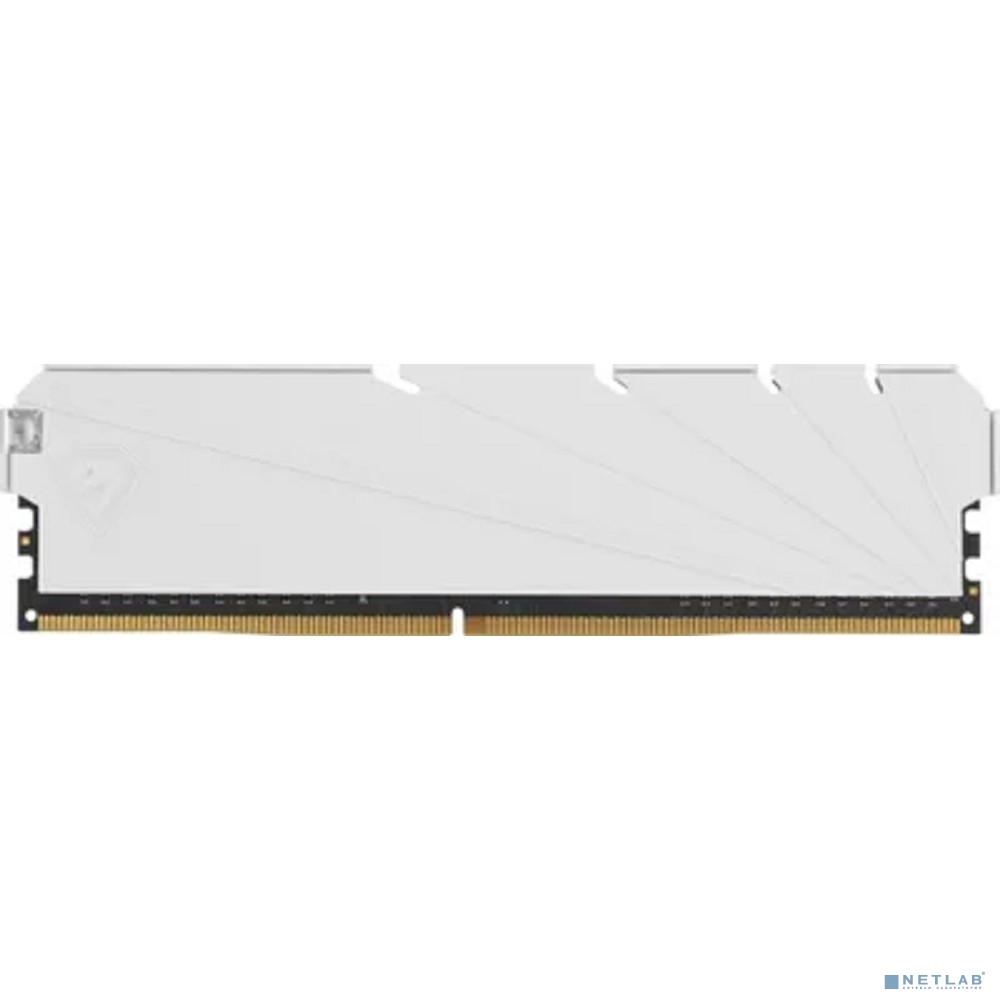 Netac DDR4 DIMM 8GB NTSSD4P32SP-08W PC4-25600, 3200MHz