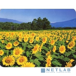 Коврик для мыши Buro BU-M20036 рисунок/подсолнухи