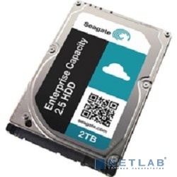2TB Seagate Capacity 3.5 HDD (ST2000NM0055)