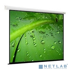 Viewscreen Breston EBR-16104 Экран моторизированный (16:10) 244*244 (236*147.5) MW