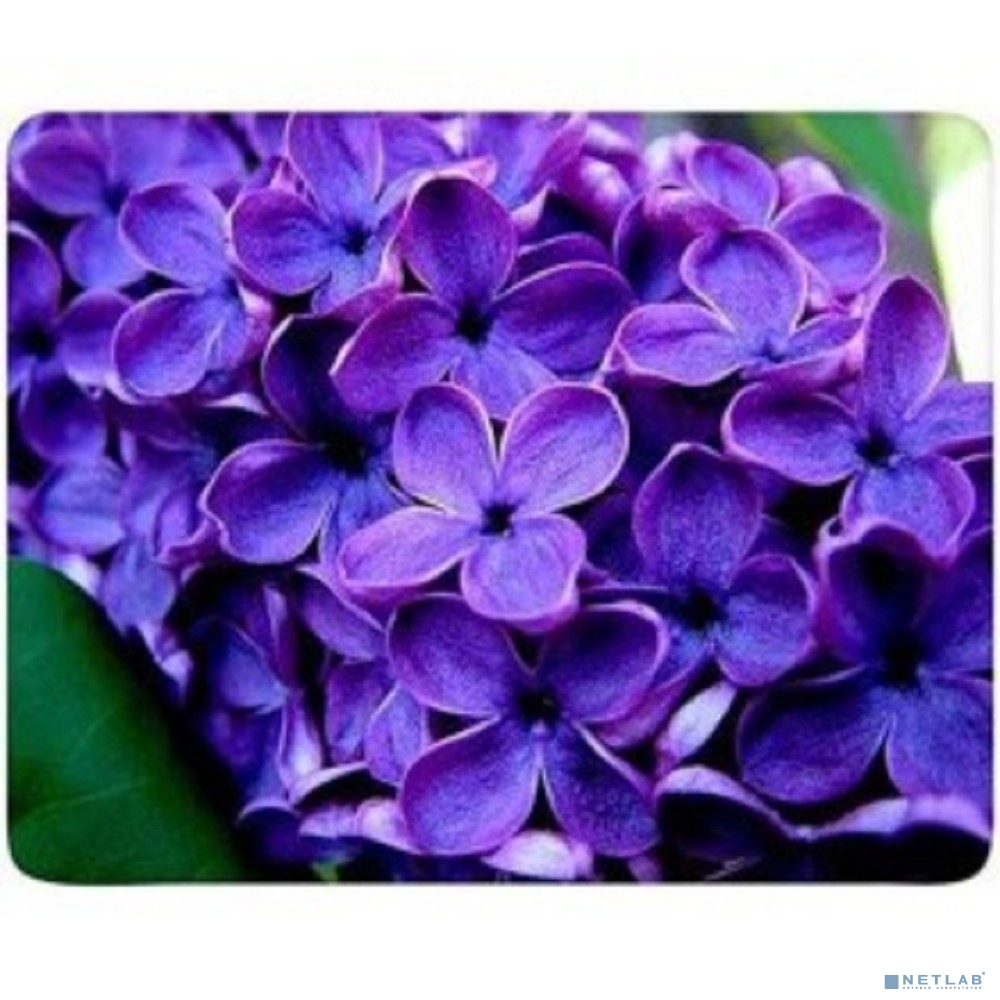 Коврик для мыши Buro BU-M20049 рисунок/сирень