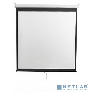 Digis Optimal-D Экран настенный (Optimal-D, формат 1:1, 135", 248x250, рабочая поверхность 240x240, MW)