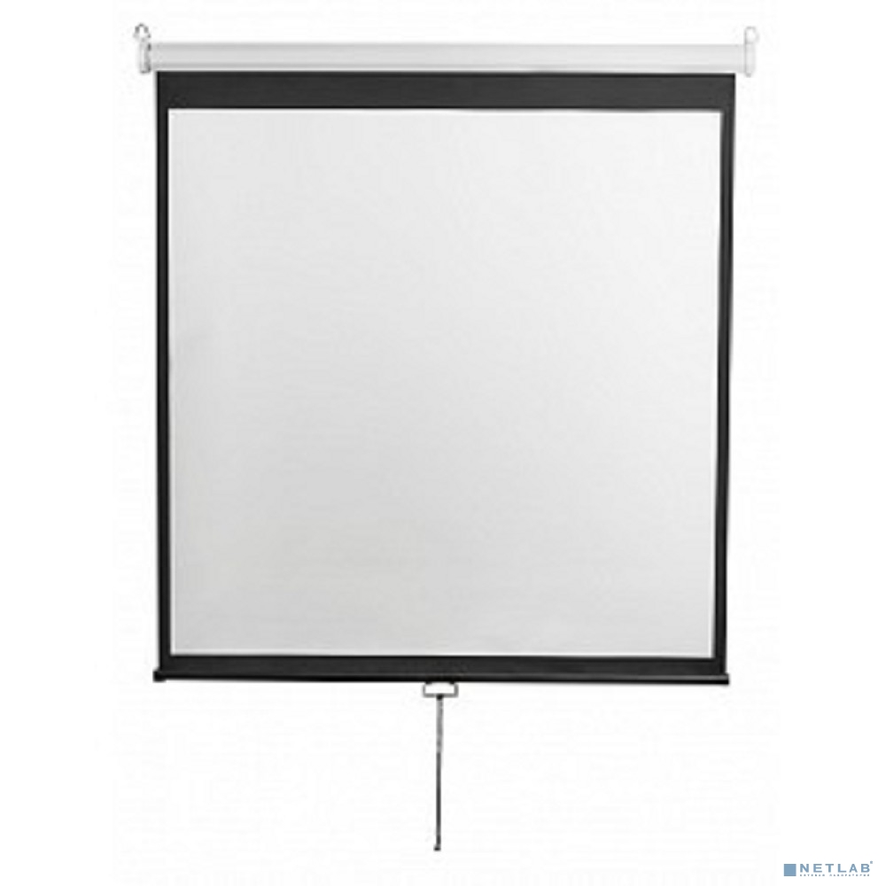 Digis Optimal-D Экран настенный (Optimal-D, формат 1:1, 112", 206x209, рабочая поверхность 200x200, MW)