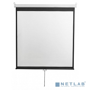 Digis Optimal-D Экран настенный, формат 1:1, 167", 308x309, рабочая поверхность 300x300, MW