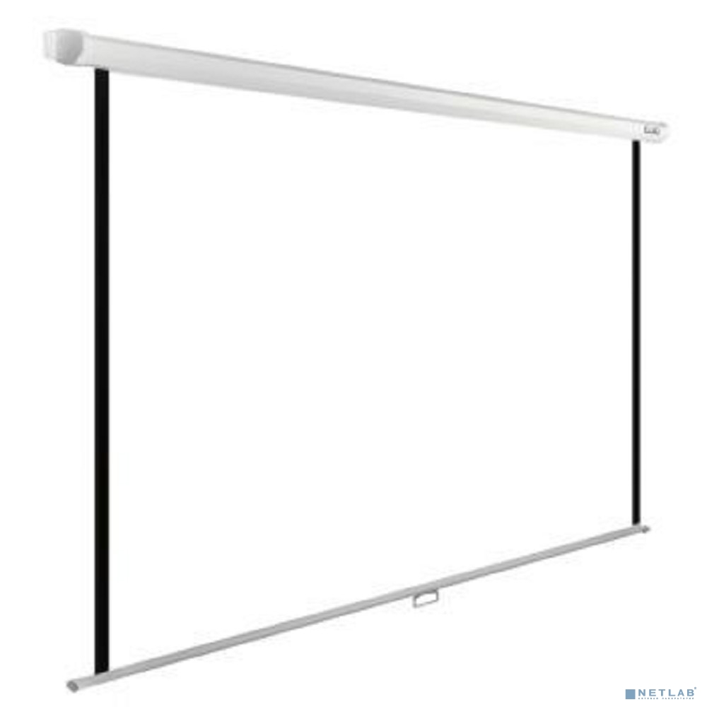 Экран Cactus WallExpert CS-PSWE-220x165-WT 220x165 см 1:1 настенно-потолочный рулонный белый