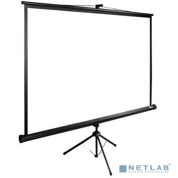 Экран Cactus TriExpert CS-PSTE-200x200-BK 200x200 см 1:1 напольный рулонный