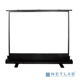 Экран Cactus 120x160 FloorExpert CS-PSFLE-160X120 4:3 напольный рулонный