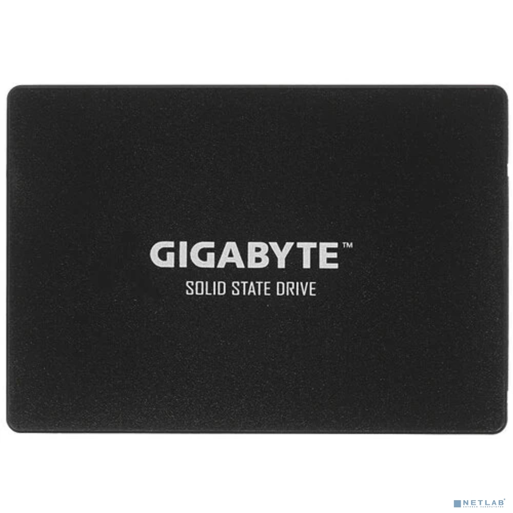 Gigabyte SSD 256GB GP-GSTFS31256GTND