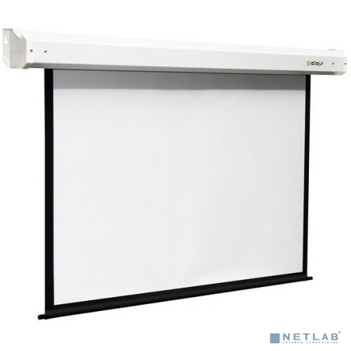 Digis Electra-F Экран настенный с электроприводом, формат 4:3, 135" (278x213), MW