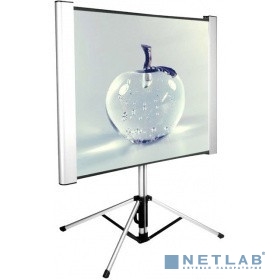 Экран Cactus 102x180см TriAlExpert CS-PSTALE-180X102 16:9 напольный рулонный