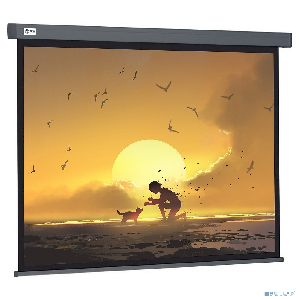 Экран Cactus Wallscreen CS-PSW-124X221-SG 124.5х221см 16:9 настенно-потолочный рулонный серый
