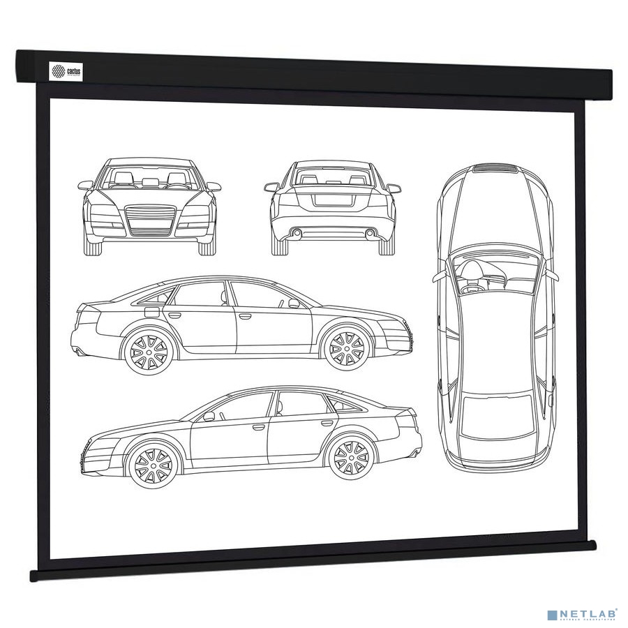 Экран Cactus Wallscreen CS-PSW-213X213-BK, 213х213 см, 1:1, настенно-потолочный черный