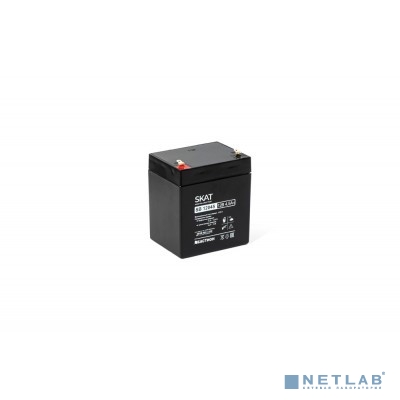 АКБ БАСТИОН SKAT SB 12045 AGM 12V 4,5Ач I зар.1,35А, F2, гарантия 18 мес (2531)