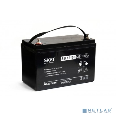 АКБ БАСТИОН SKAT SB 12100 AGM 12V 100Ач I зар.30А клеммы под болт М6, гарантия 18 мес (2542)