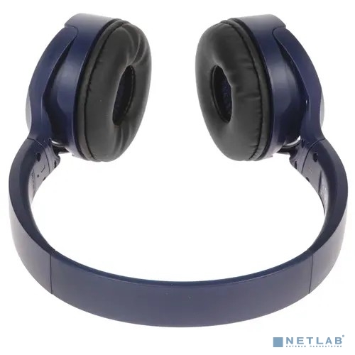 Panasonic RB-HF420BGEA (Мониторные Bluetooth наушники (Синий)