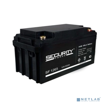 Security Force SF 1265